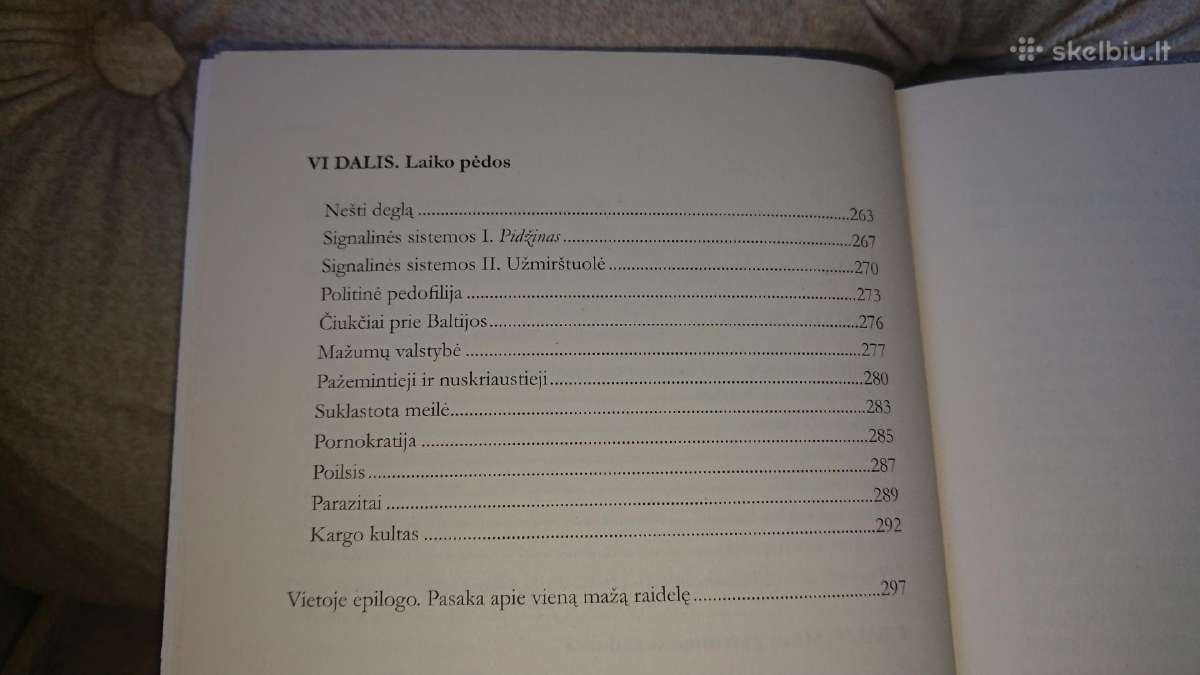 R.čepaitienė - Nepolitkorektiška - nuotraukos Nr. 6