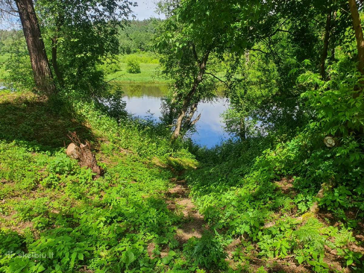 Išnuomojama stovyklavietė šalia Grabiolų kaimo. - nuotraukos Nr. 16