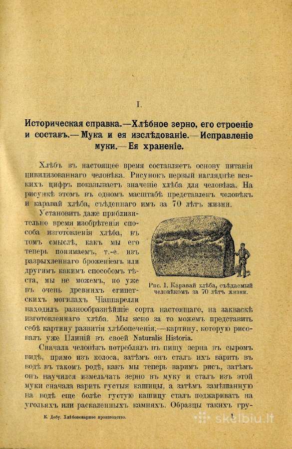 Reta iliustruota 1912 m. knyga apie duonos kepimą - nuotraukos Nr. 4