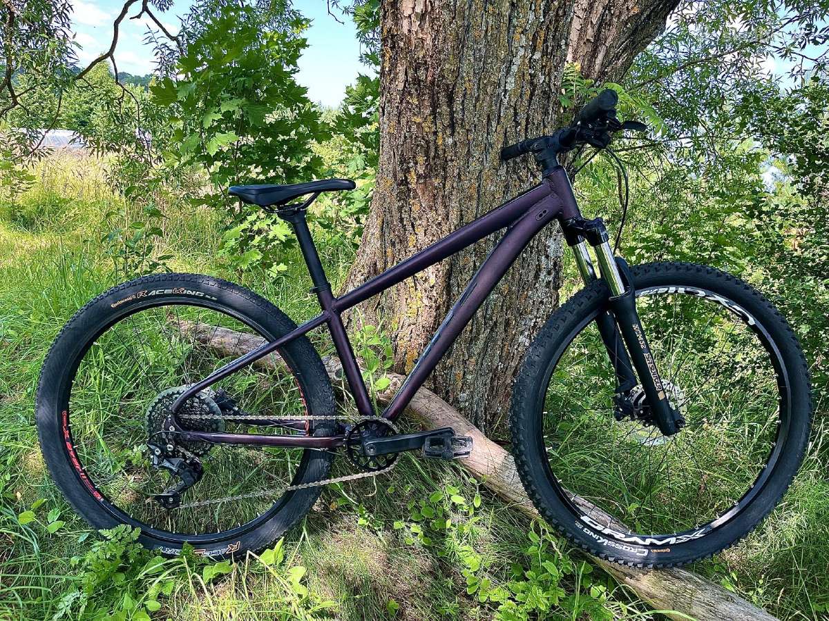 White XC Comp, 2024 - nuotraukos Nr. 3