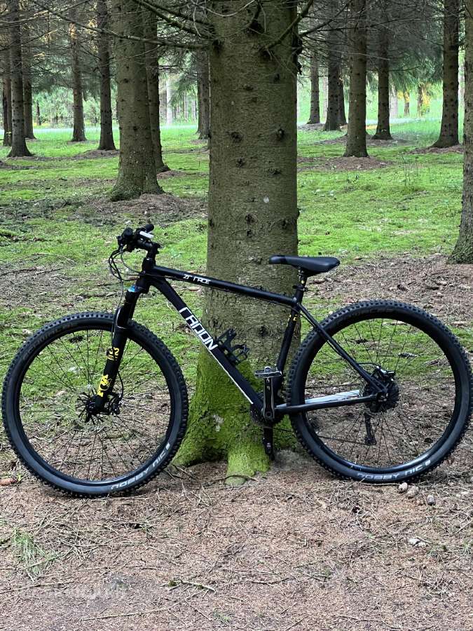 Radon Zr Race 6.0 2017 29er L(20) - nuotraukos Nr. 2