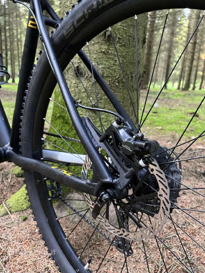 Radon Zr Race 6.0 2017 29er L(20) - nuotraukos Nr. 5
