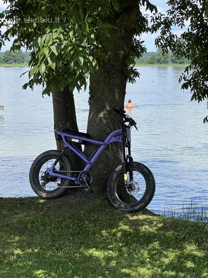 Mainau Z8 elektrinį dviratį - nuotraukos Nr. 2