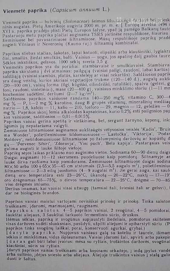 Retosios daržovės - nuotraukos Nr. 12