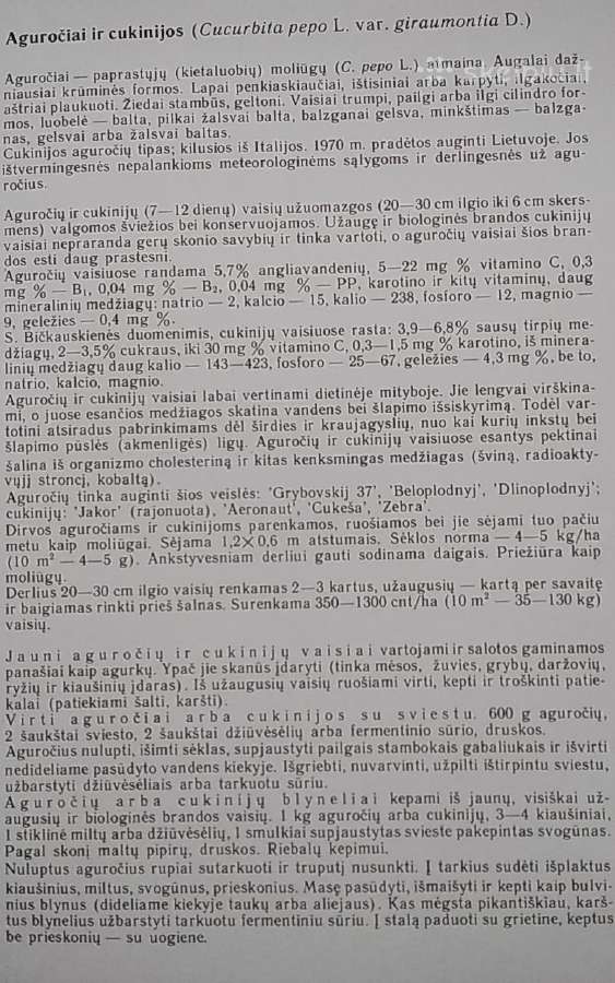 Retosios daržovės - nuotraukos Nr. 16