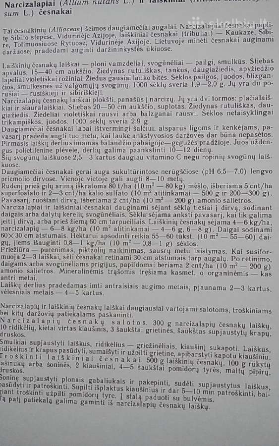 Retosios daržovės - nuotraukos Nr. 18