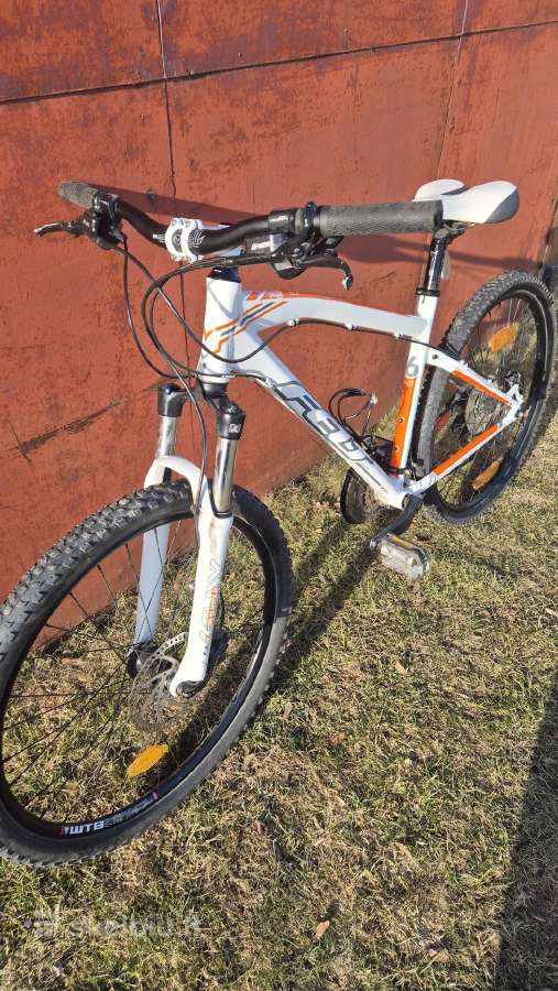 Felt ir Specialized - nuotraukos Nr. 2