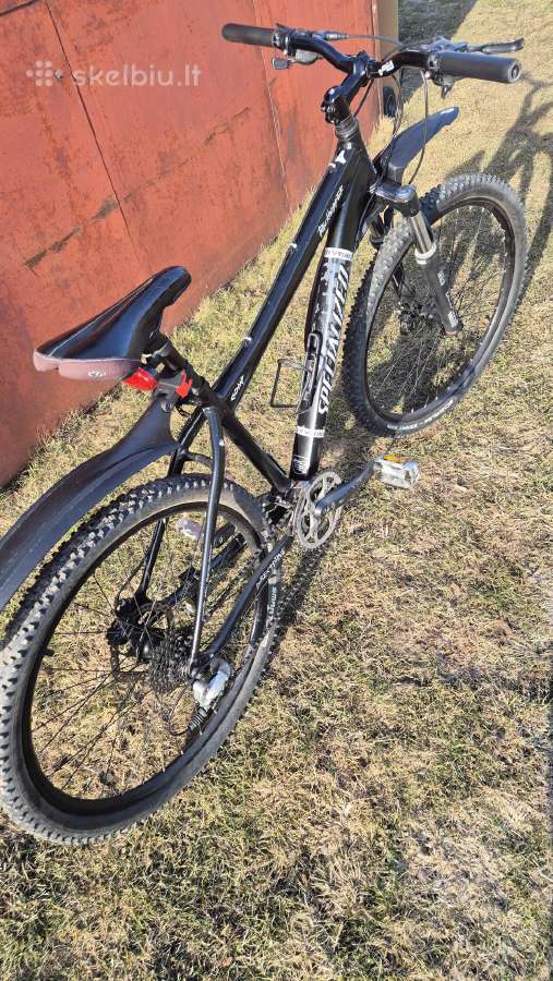 Felt ir Specialized - nuotraukos Nr. 8