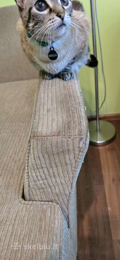 Sofa lova ir pūfikas - nuotraukos Nr. 4