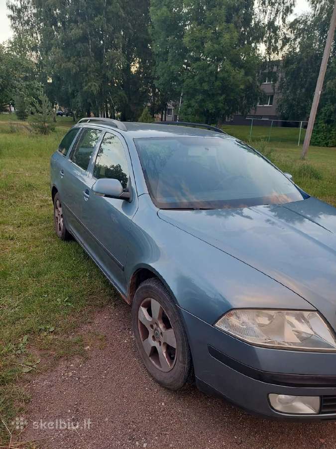 Skoda Oktavia 2008 - nuotraukos Nr. 2