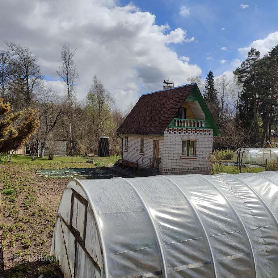 Sodas S/b Apynėlis Utenoje - nuotraukos Nr. 10