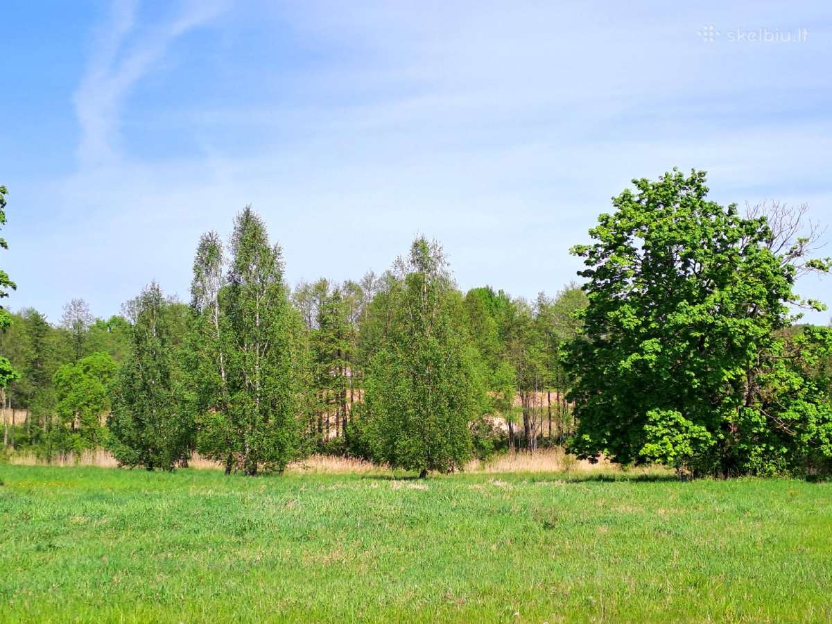 Parduodama sklypas(9,59ha)su projektais, leidimais - nuotraukos Nr. 2