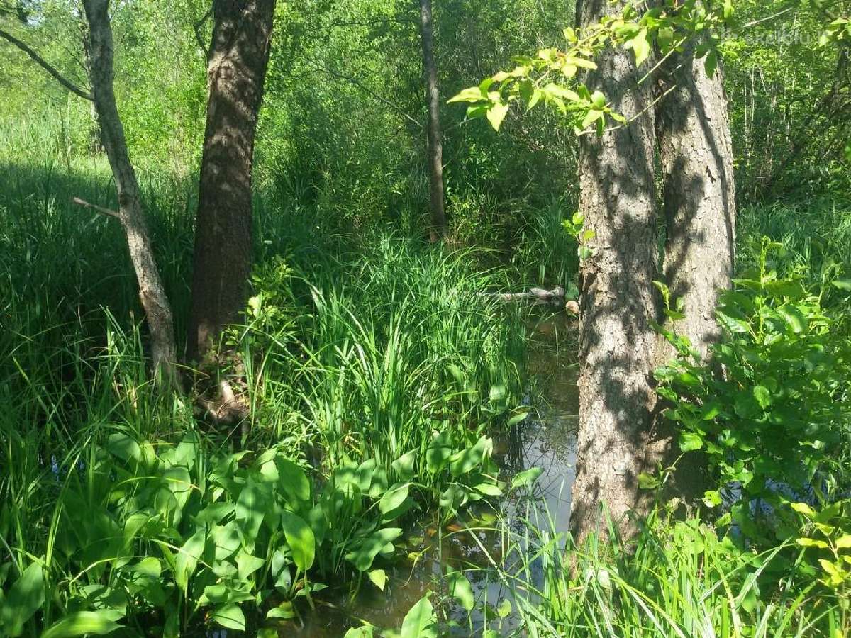 Parduodama sklypas(9,59ha)su projektais, leidimais - nuotraukos Nr. 5