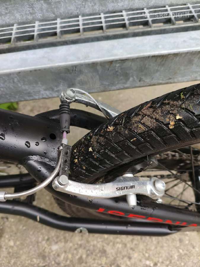 Lombardo Isernia 20" – tvarkingas BMX dviratis - nuotraukos Nr. 6