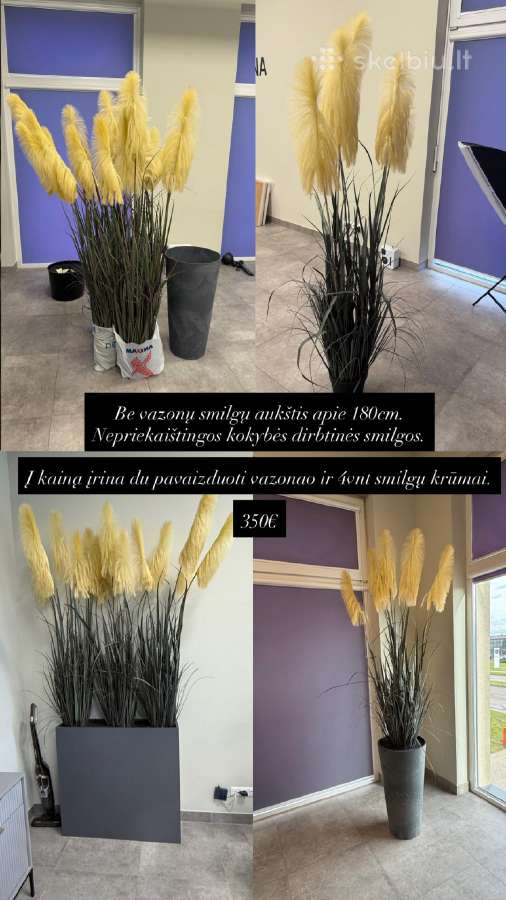 Dirbtinės smilgos - nuotraukos Nr. 3