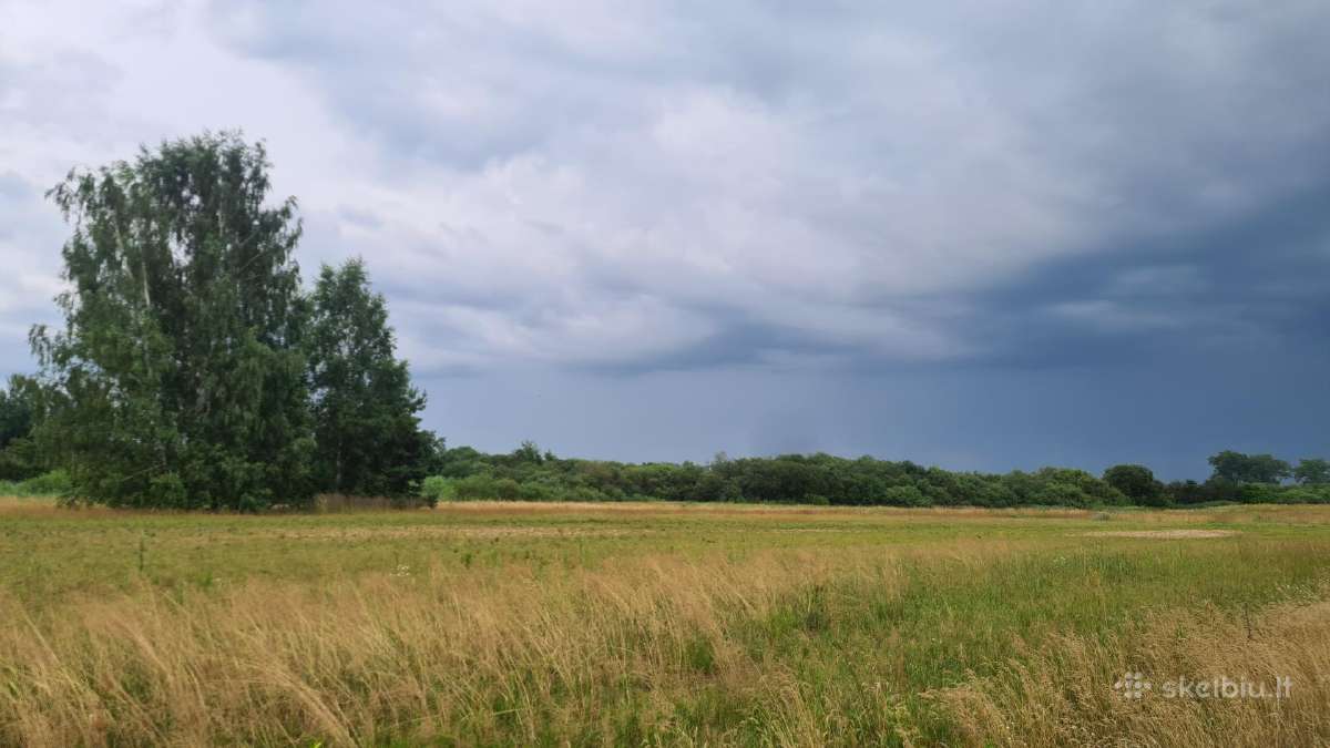 Parduodamas 441 a sklypas Kaišiadorių r. sav., - nuotraukos Nr. 8