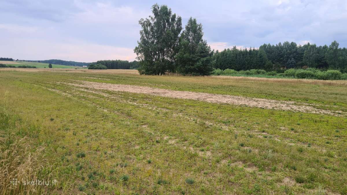 Parduodamas 441 a sklypas Kaišiadorių r. sav., - nuotraukos Nr. 9