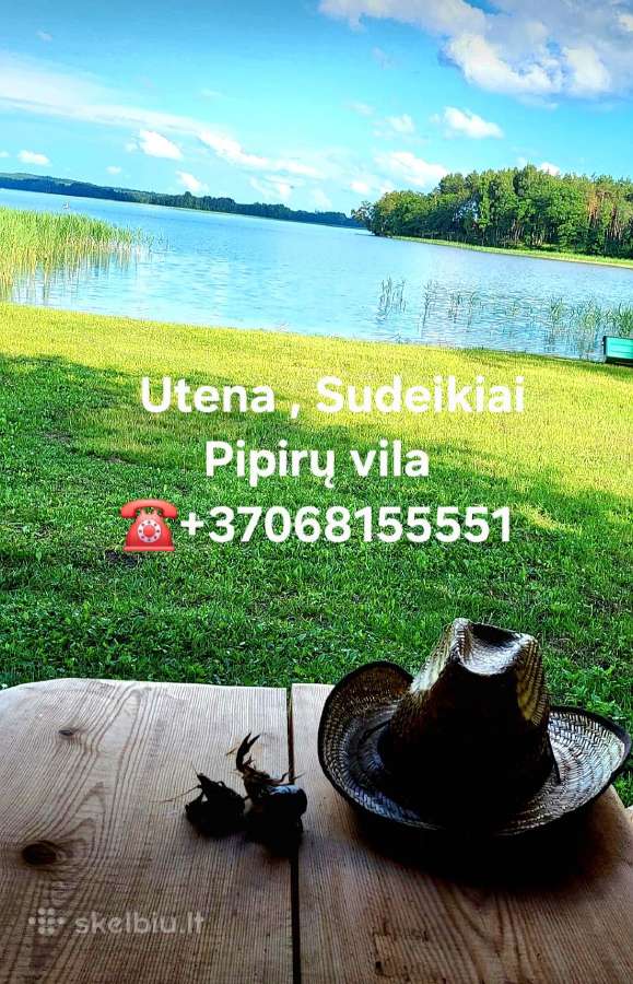 Jūsų poilsis ir šventės "Pipirų viloje" - nuotraukos Nr. 25