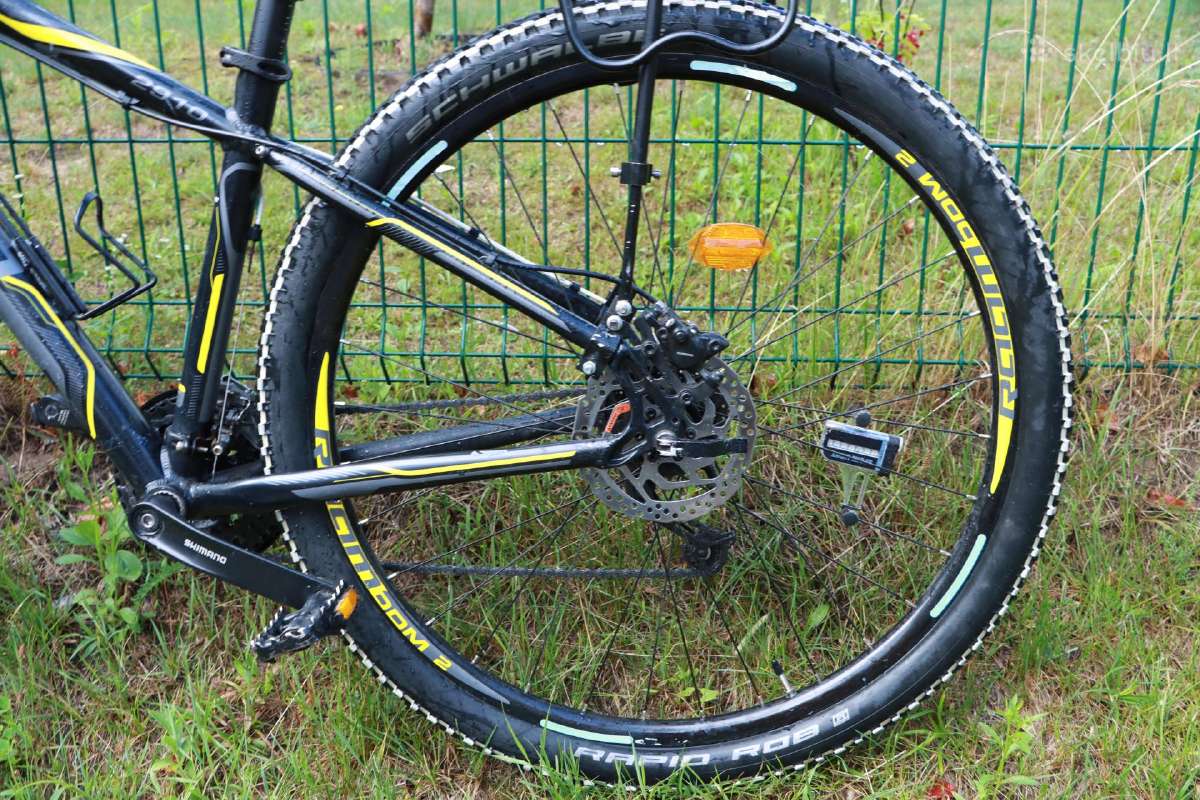 Dviratis Shimano Raam - nuotraukos Nr. 10