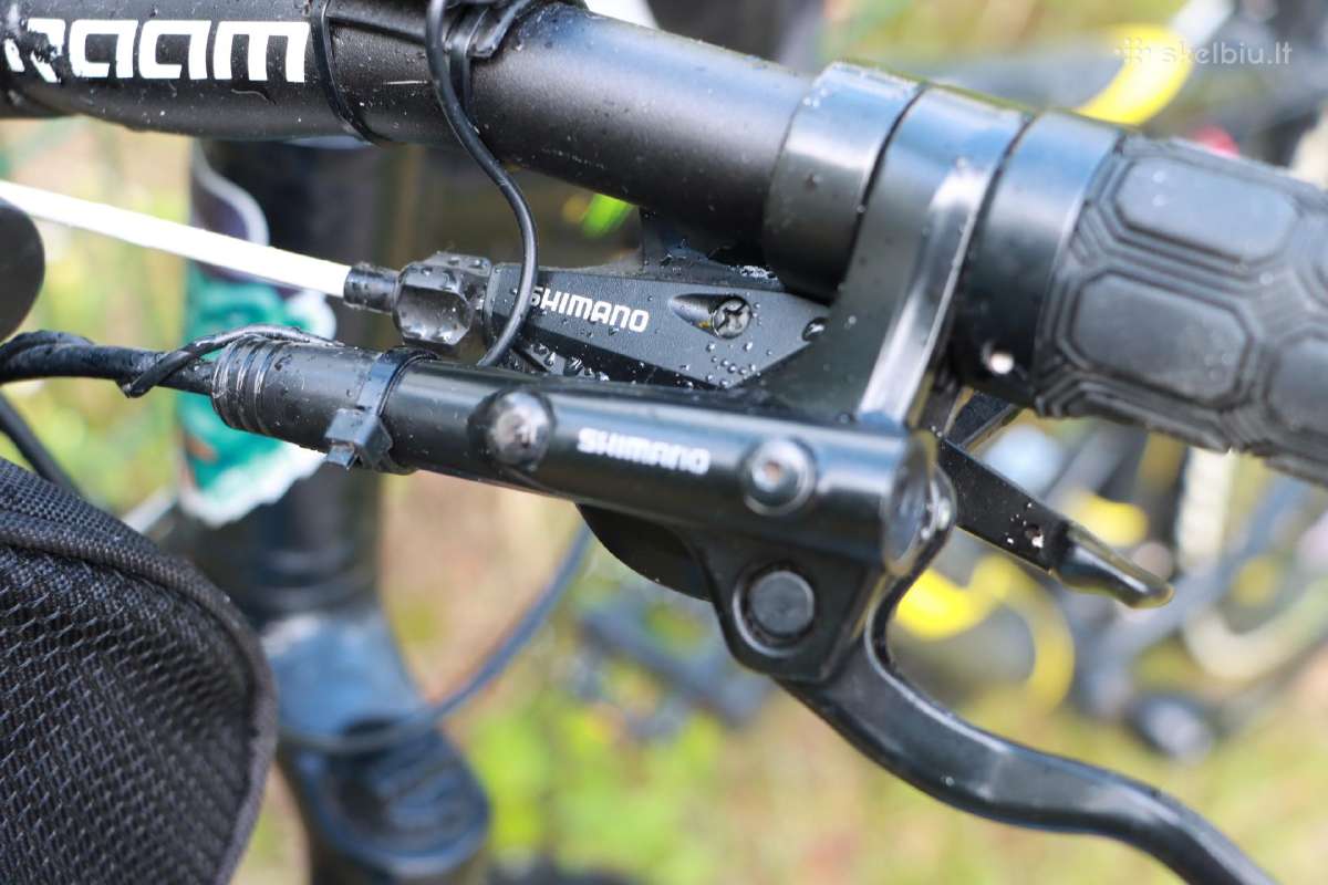 Dviratis Shimano Raam - nuotraukos Nr. 16
