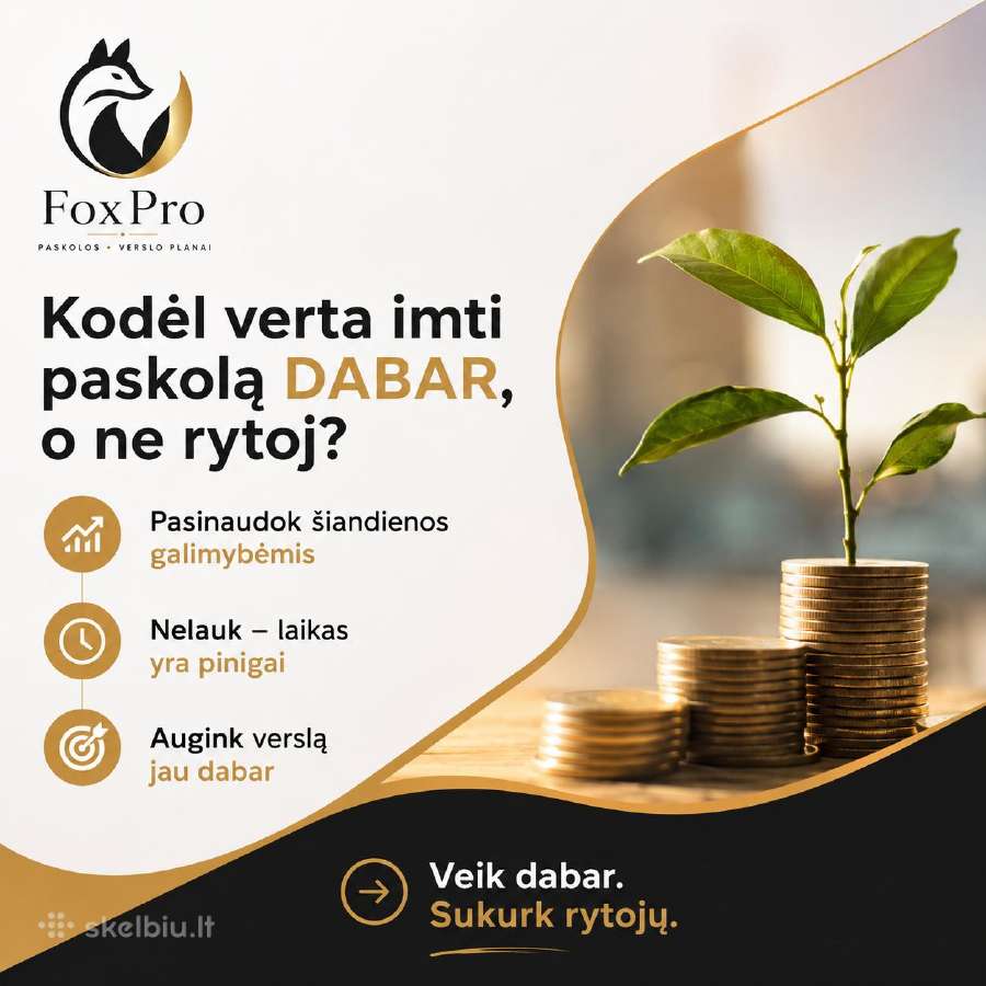 Verslo planaipaskolosinvesticiniai projektai - nuotraukos Nr. 8