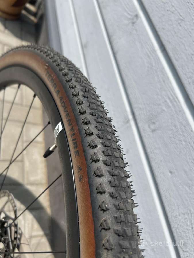 Rose backroad AL 2026 - nuotraukos Nr. 5
