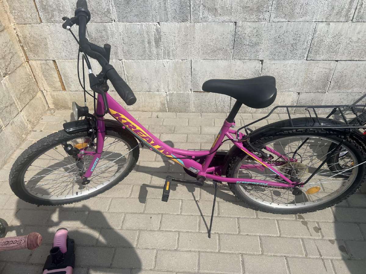 Dviratis paulgliams už 39 eur. - nuotraukos Nr. 3