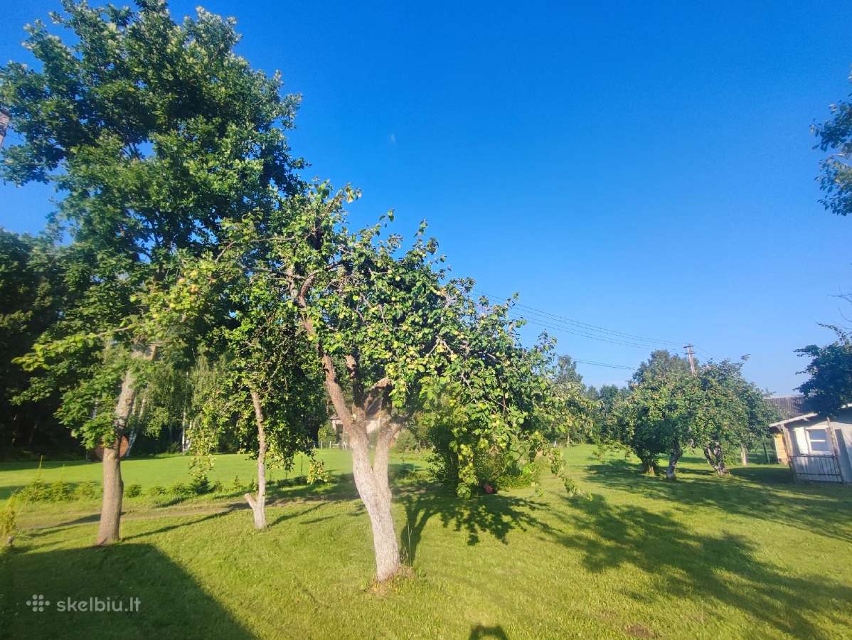 Sodas su nameliu, Šilėnuose Birštono sav. - nuotraukos Nr. 5