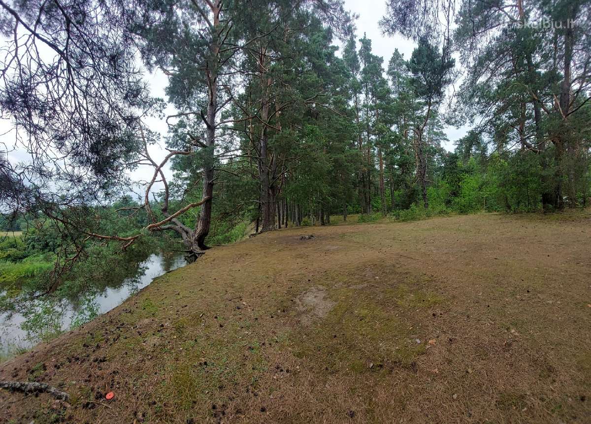 Vaizdingas sklypas prie Merkio, Varėnos r. - nuotraukos Nr. 3