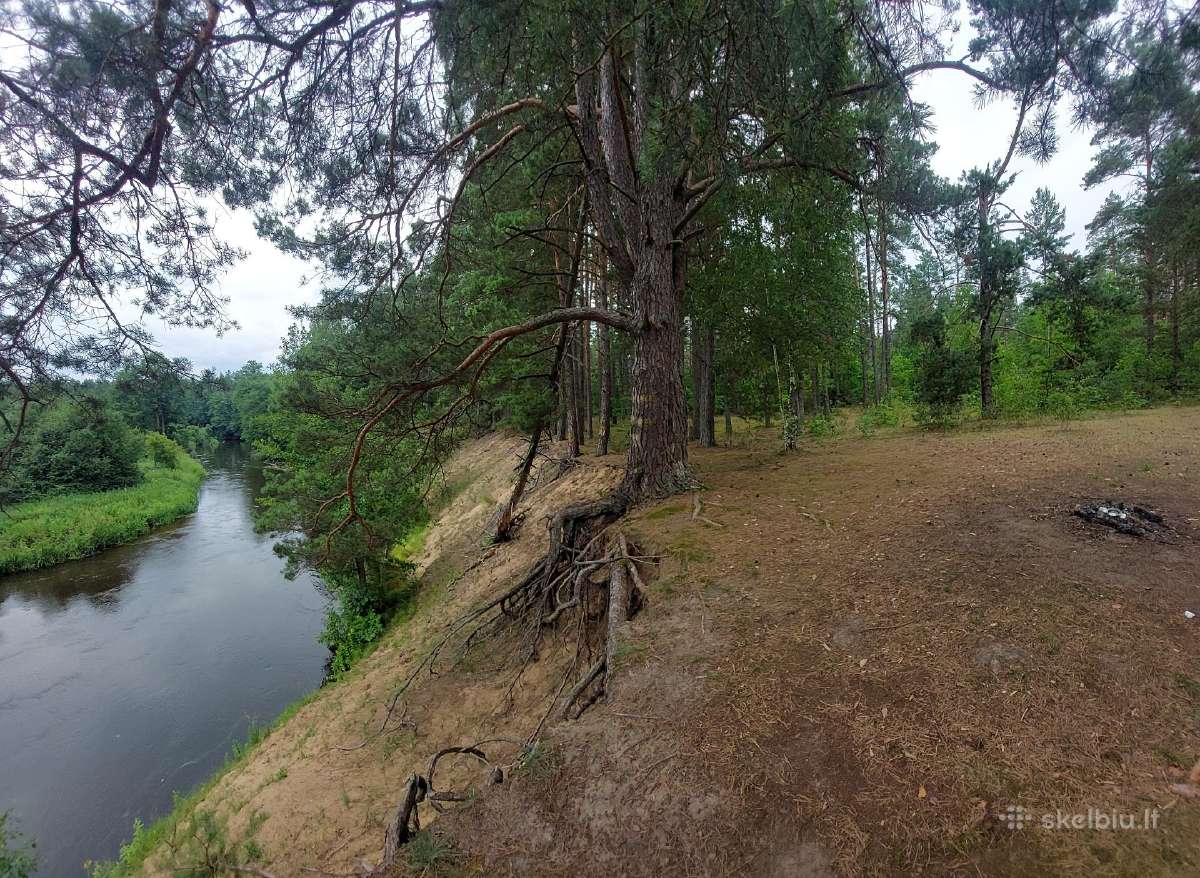 Vaizdingas sklypas prie Merkio, Varėnos r. - nuotraukos Nr. 4