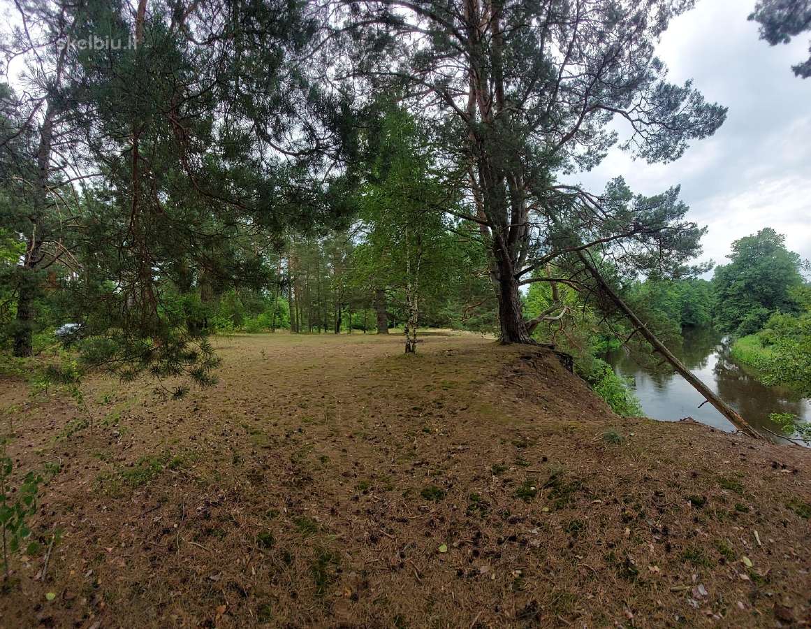 Vaizdingas sklypas prie Merkio, Varėnos r. - nuotraukos Nr. 5