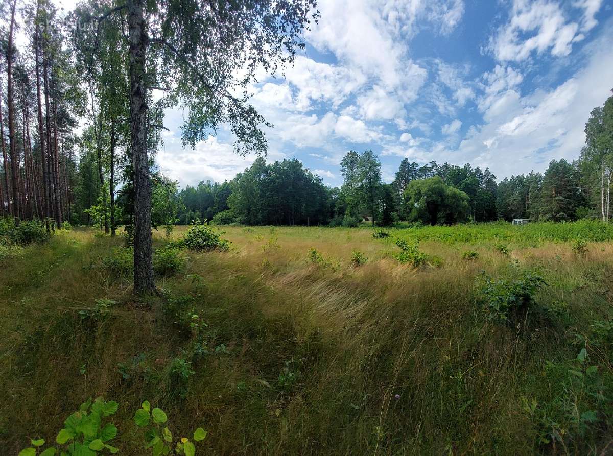 Vaizdingas sklypas prie Merkio, Varėnos r. - nuotraukos Nr. 8