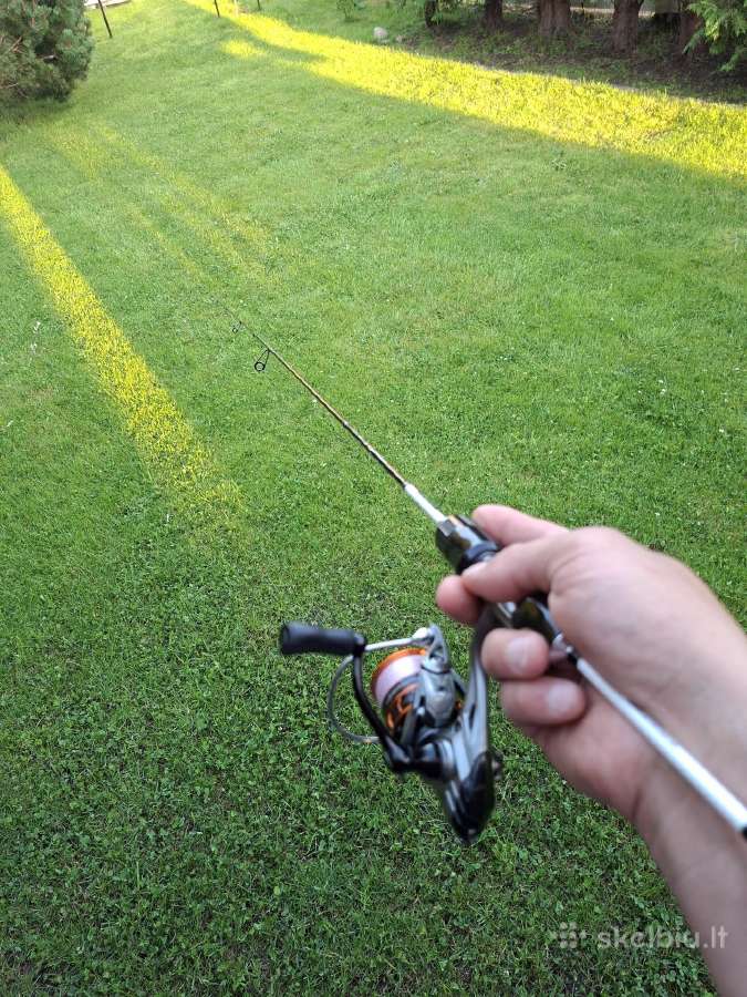 Aviždrebio komplektas - nuotraukos Nr. 3