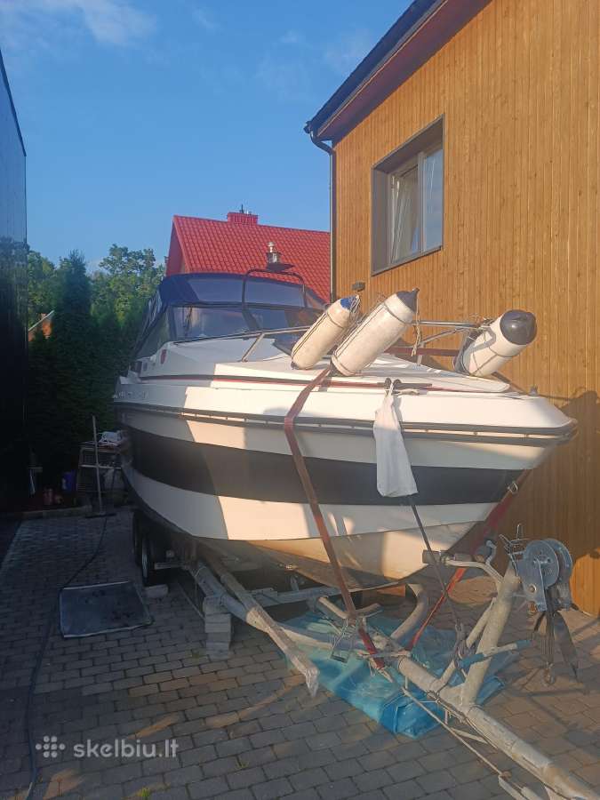 Kateris marex Dixie21 - nuotraukos Nr. 2