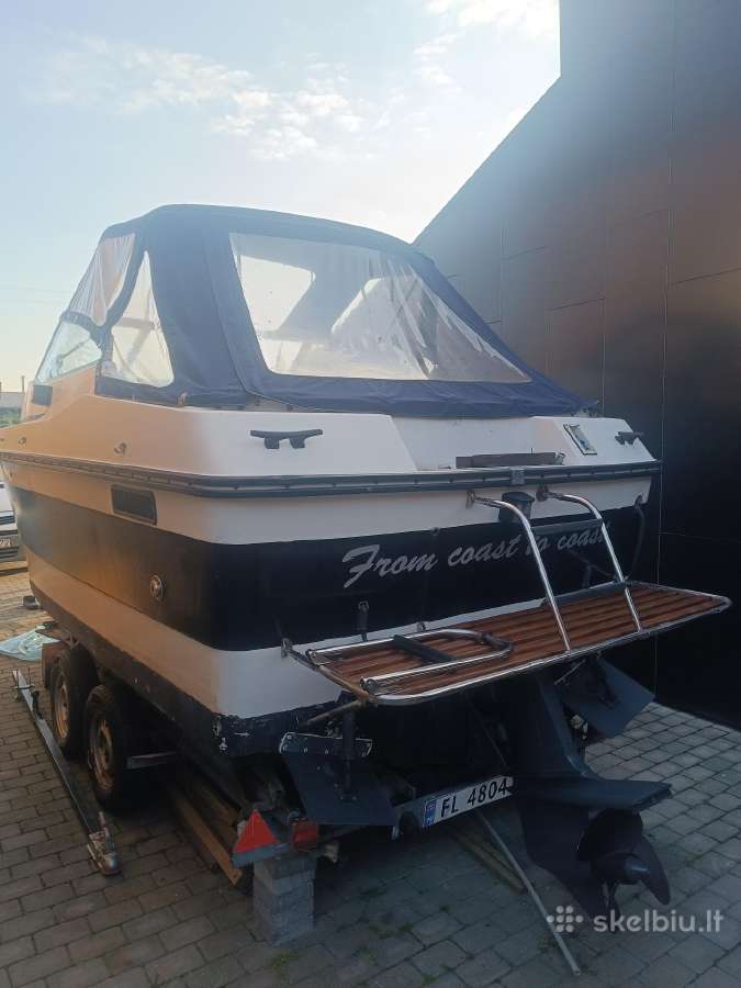 Kateris marex Dixie21 - nuotraukos Nr. 3