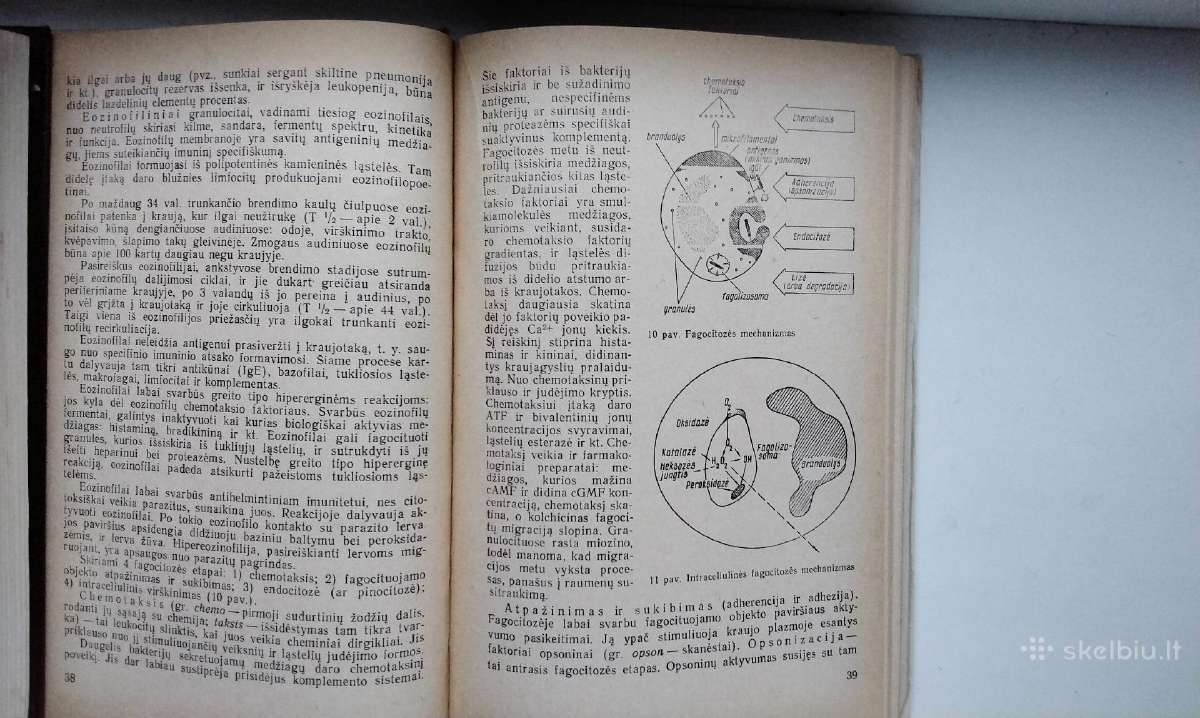 Imunologija. 1989 m. leid. - nuotraukos Nr. 7