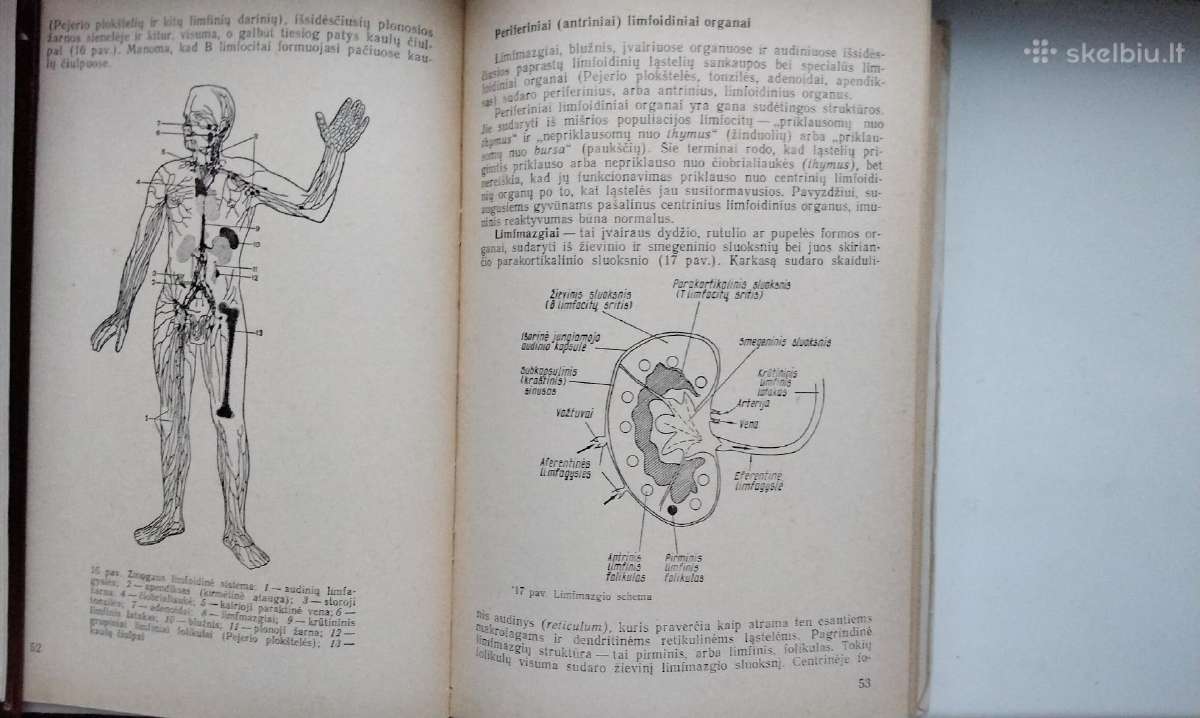 Imunologija. 1989 m. leid. - nuotraukos Nr. 8