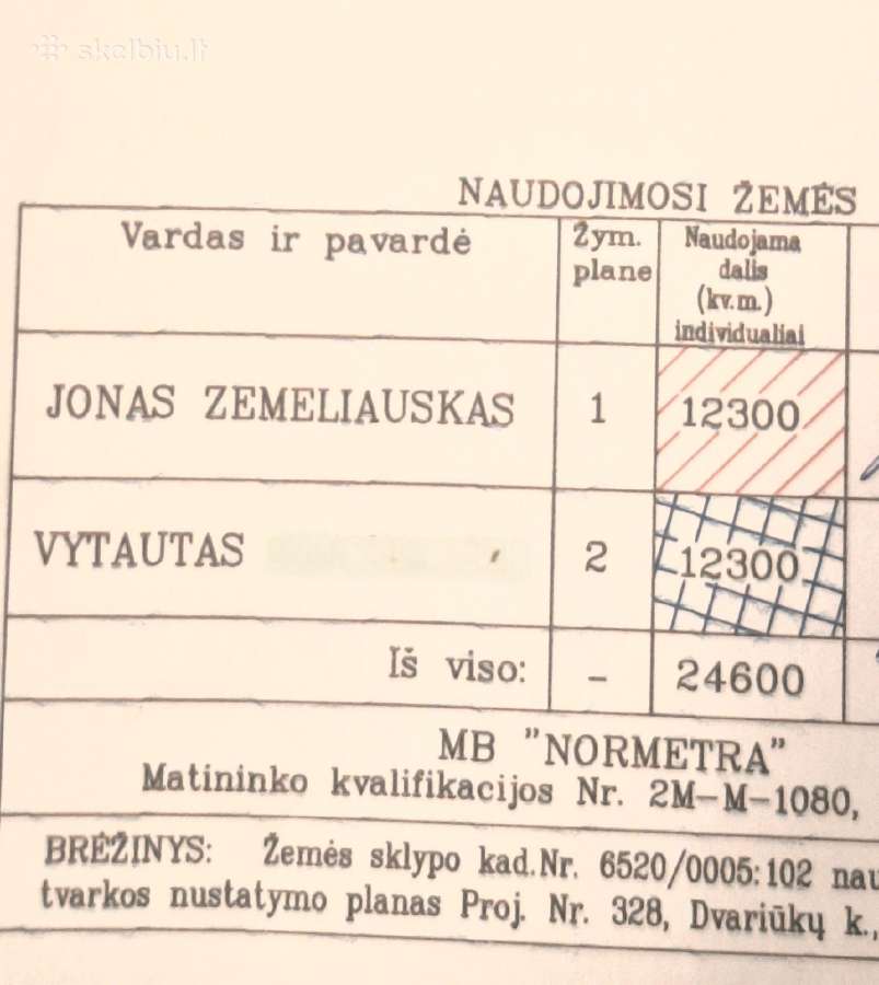 Miškas su žeme, ąžuolas, eglės, uosis. - nuotraukos Nr. 3