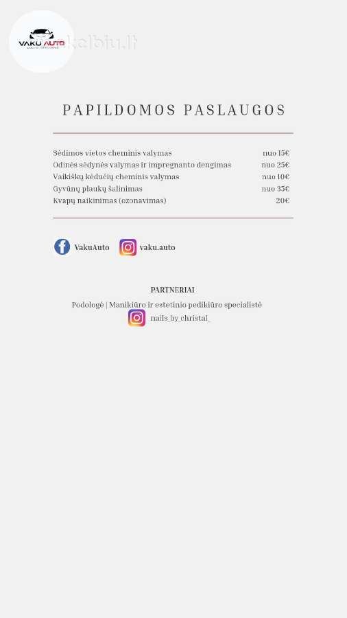 Cheminis ir detalus salono valymas "Vakuauto" - nuotraukos Nr. 6