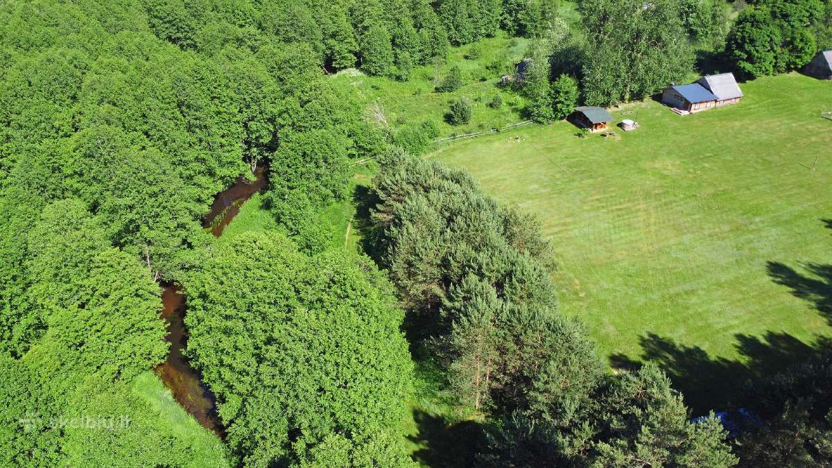 Sodybos nuoma prie Gaujos upės. Baidarių nuoma. - nuotraukos Nr. 20
