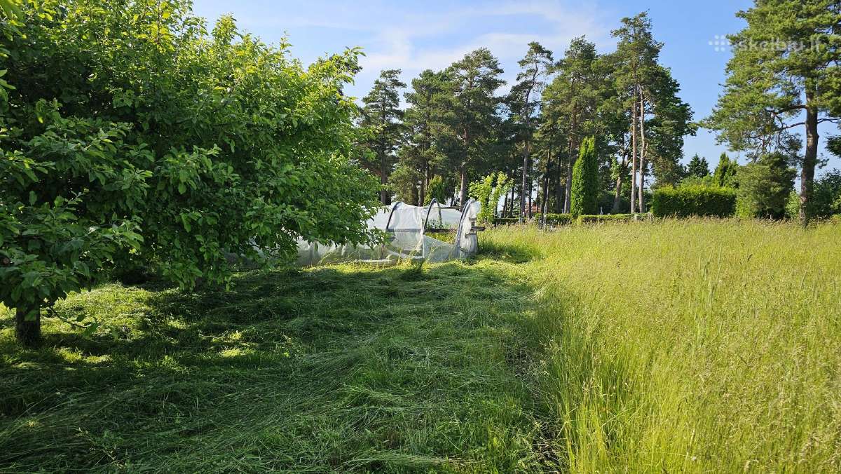 Parduodama sodyba - nuotraukos Nr. 12