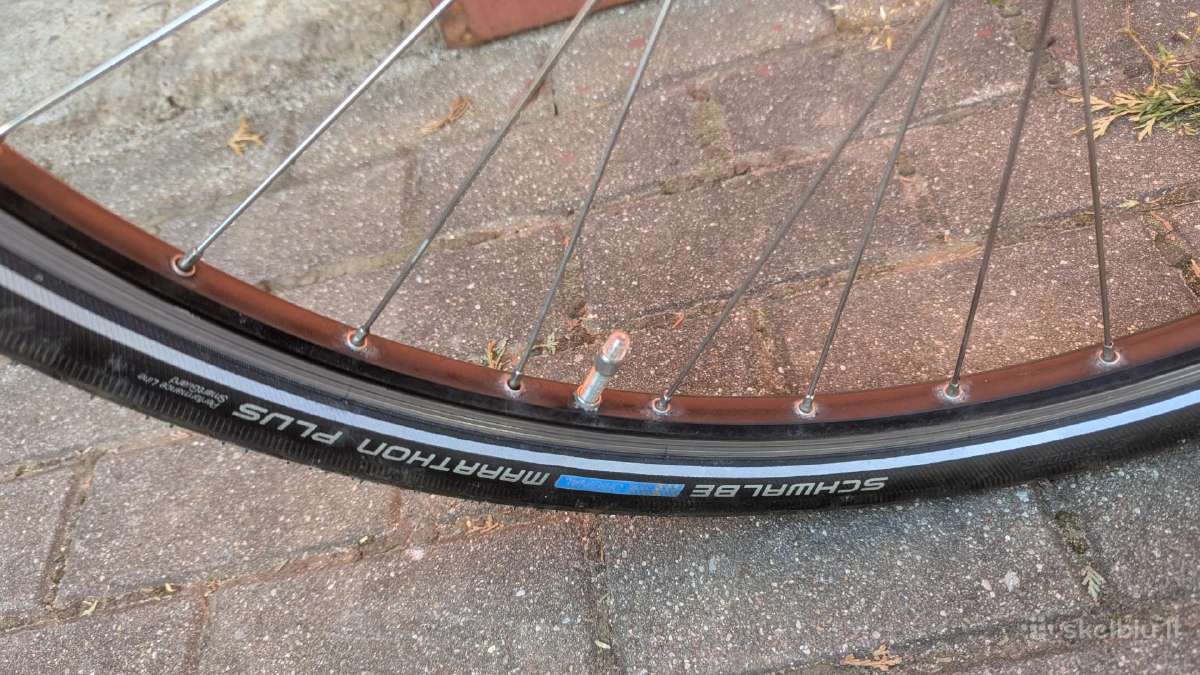Tvarkingas elektrinis dviratis Stinger E-tour - nuotraukos Nr. 8