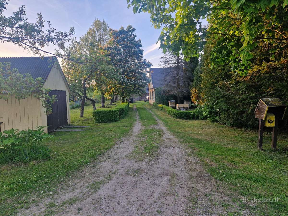 Parduodama jauki sodyba su tvenkiniu. - nuotraukos Nr. 8