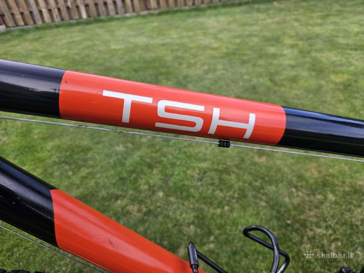 Tsh - nuotraukos Nr. 6