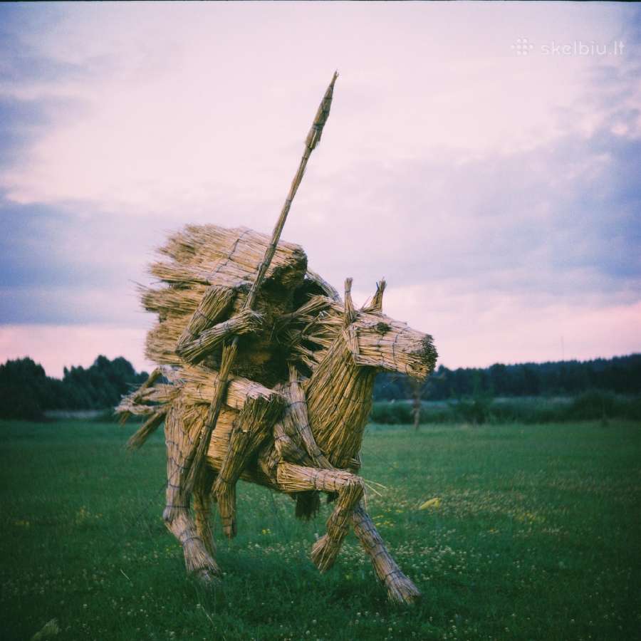 Yashica-c - nuotraukos Nr. 3