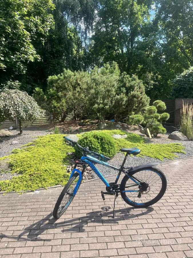 Umit Mirage 2d 29" dydis 20" (51cm) (juoda/mėlyna) - nuotraukos Nr. 4