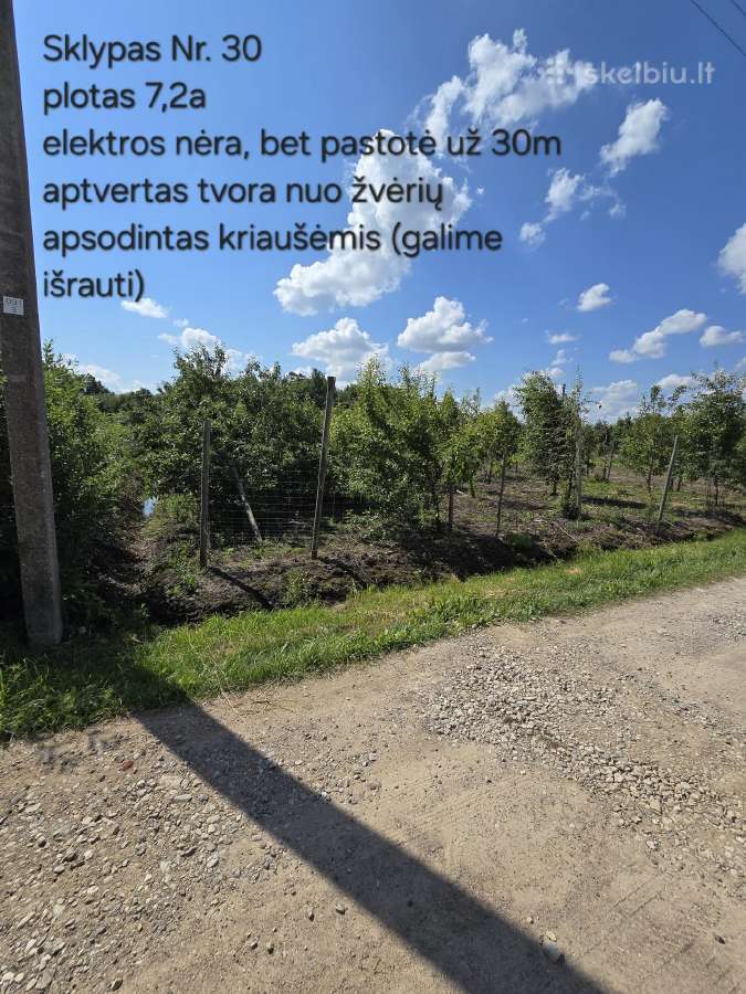 5 sklypai ramiausiuose Liudvinavo soduose - nuotraukos Nr. 6