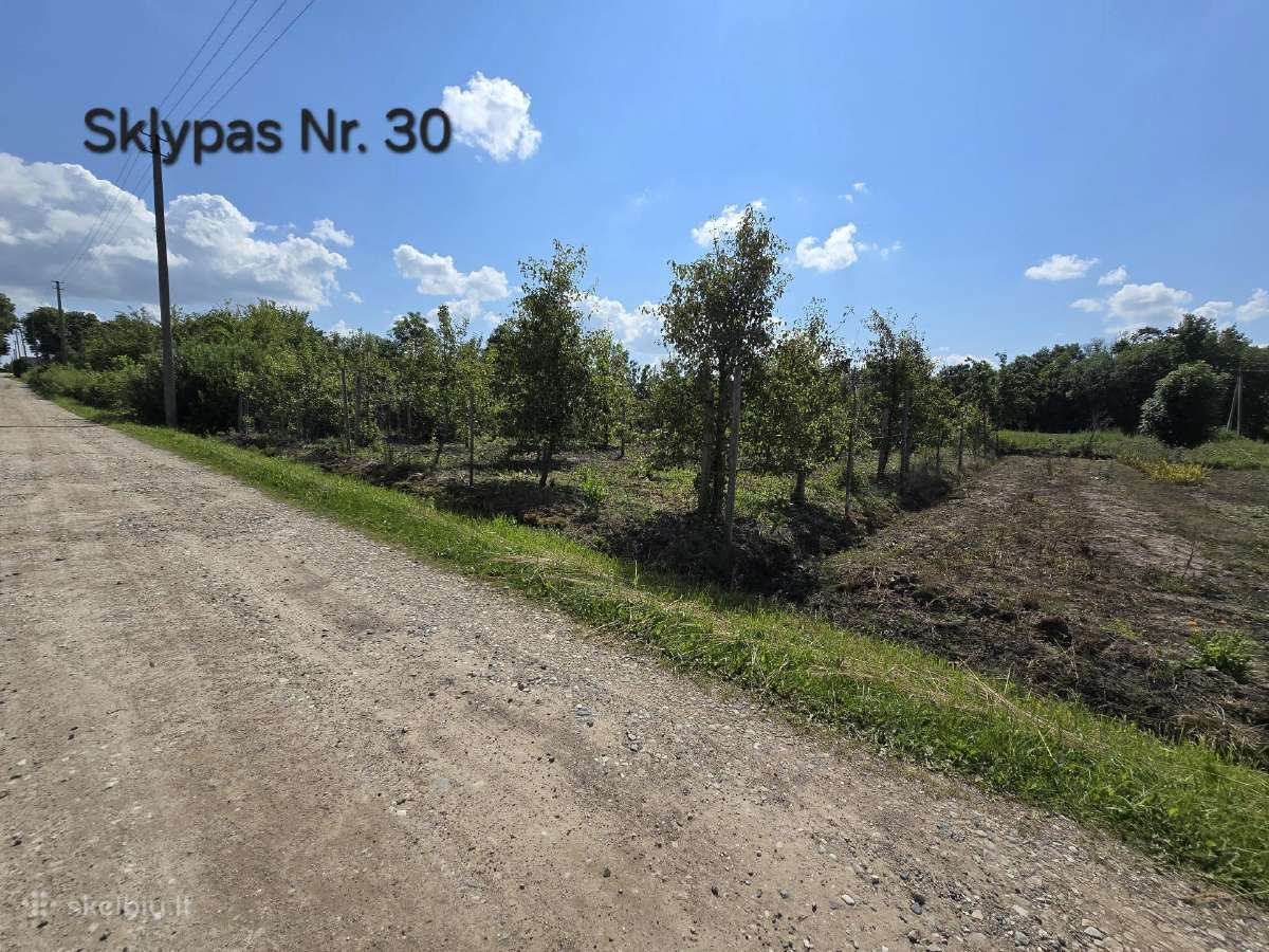 5 sklypai ramiausiuose Liudvinavo soduose - nuotraukos Nr. 8