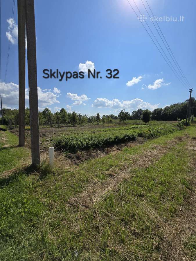 5 sklypai ramiausiuose Liudvinavo soduose - nuotraukos Nr. 12