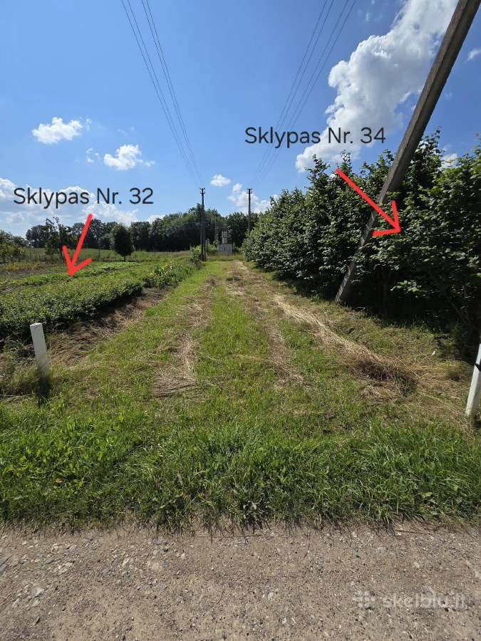 5 sklypai ramiausiuose Liudvinavo soduose - nuotraukos Nr. 13